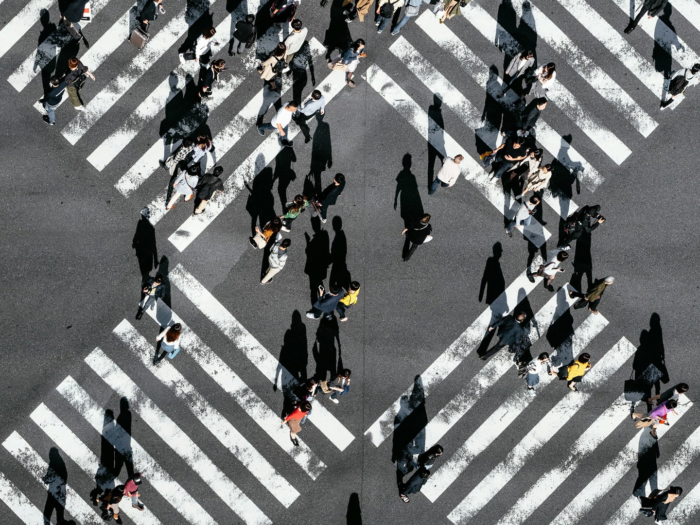 Tokyo Street Crossing